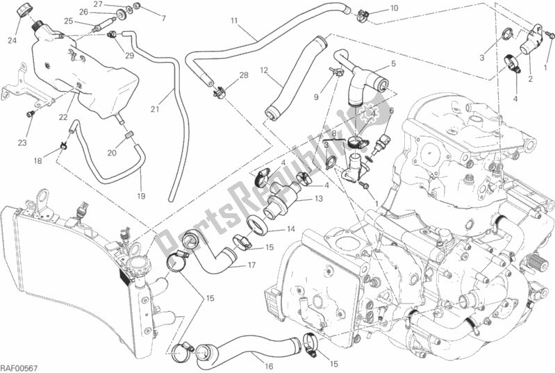 All parts for the Cooling System of the Ducati Monster 821 USA 2016